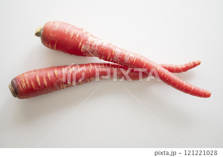 正月野菜金時人参 正月野菜金時人参 121221028