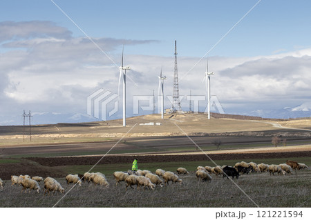 A rural Georgian landscape with wind turbines on rolling hills, a flock of sheep grazing in the foreground 121221594