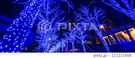 「東京都」青の洞窟SHIBUYA 2024 (代々木公園)・渋谷区 121221606