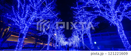 「東京都」青の洞窟SHIBUYA 2024 (代々木公園)・渋谷区 121221609