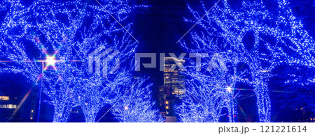 「東京都」青の洞窟SHIBUYA 2024 (代々木公園)・渋谷区 「東京都」青の洞窟SHIBUYA 2024 (代々木公園)・渋谷区 121221614