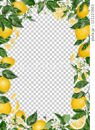 Frame of lemons and flowers. Botanical frame with orange blossom. Leaves, flowers and yellow citruses. watercolor illustration on a transparent background.  121221663