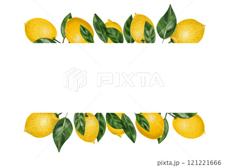 frame with lemons. rectangular frame with leaves and fruits. watercolor illustration. no background. frame with lemons. rectangular frame with leaves and fruits. watercolor illustration. no background. 121221666