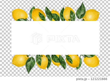 frame with lemons. rectangular frame with leaves and fruits. watercolor illustration. no background. frame with lemons. rectangular frame with leaves and fruits. watercolor illustration. no background. 121221666