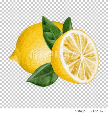 A whole lemon and half a lemon next to the leaves. Juicy citrus fruits are yellow in color with green leaves. Watercolor illustration isolated from lantern. Composition for packaging.  121221670