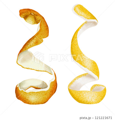 Peels from citrus fruits. Food cleansing. Orange and lemon peels of orange and yellow color are twisted into a spiral. Watercolor illustration isolated from background. High quality illustration 121221671