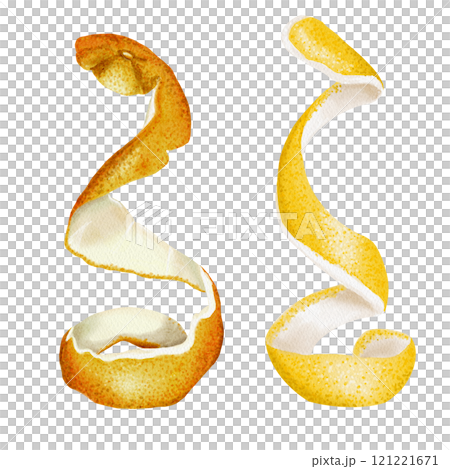 Peels from citrus fruits. Food cleansing. Orange and lemon peels of orange and yellow color are twisted into a spiral. Watercolor illustration isolated from background. High quality illustration 121221671