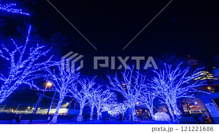 「東京都」青の洞窟SHIBUYA 2024 (代々木公園)・渋谷区 121221686