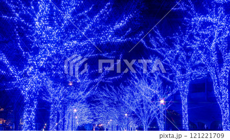 「東京都」青の洞窟SHIBUYA 2024 (代々木公園)・渋谷区 121221709