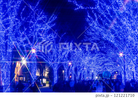 「東京都」青の洞窟SHIBUYA 2024 (代々木公園)・渋谷区 121221710