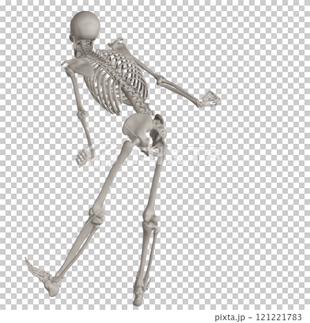 Posing skeleton with transparent background 121221783