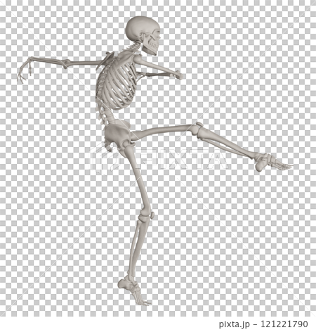 Posing skeleton with transparent background 121221790