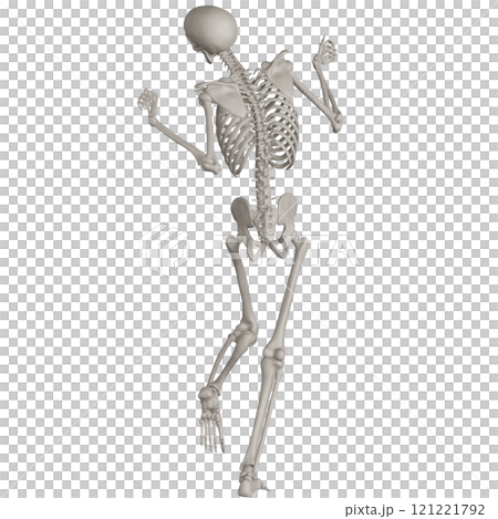 Posing skeleton with transparent background 121221792