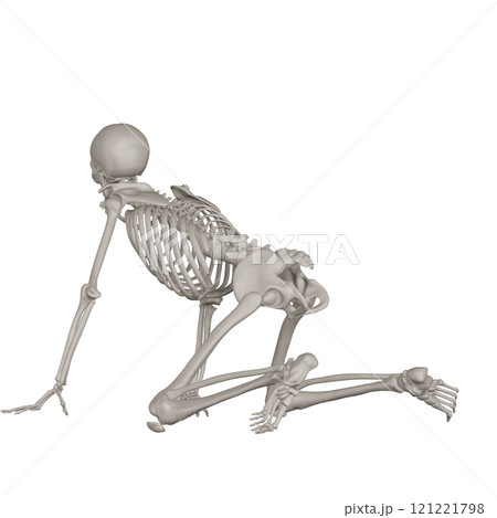 ポーズをとる骨格スケルトン　背景透過 121221798