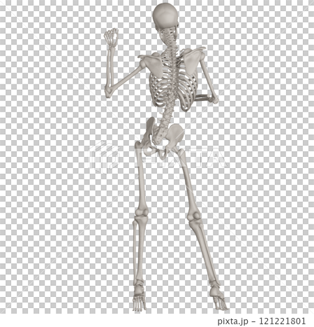 Posing skeleton with transparent background 121221801