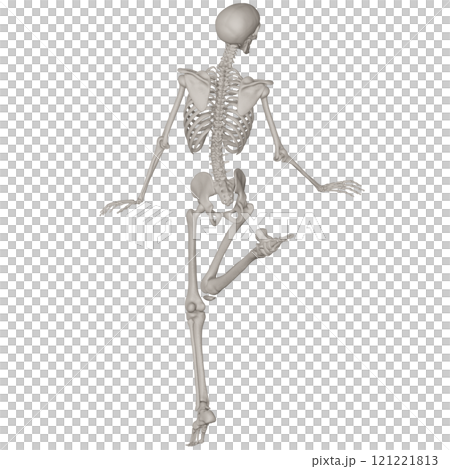 ポーズをとる骨格スケルトン　背景透過 121221813