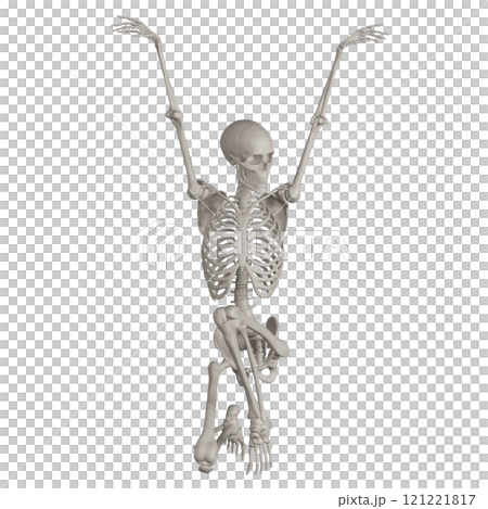 骨骼構成，背景透明 121221817