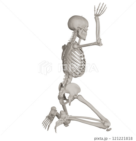 ポーズをとる骨格スケルトン　背景透過 121221818