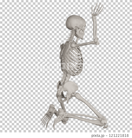 ポーズをとる骨格スケルトン　背景透過 121221818