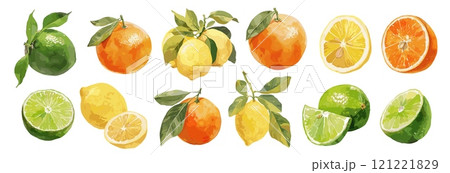 citrus fruits watercolor set. orange lemon lime, vitamins healthy food sour whole half branch exotic tropical fruit vector illustration citrus fruits watercolor set. orange lemon lime, vitamins healthy food sour whole half branch exotic tropical fruit vector illustration 121221829