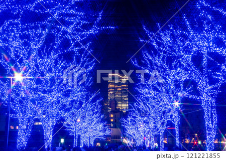 「東京都」青の洞窟SHIBUYA 2024 (代々木公園)・渋谷区 「東京都」青の洞窟SHIBUYA 2024 (代々木公園)・渋谷区 121221855