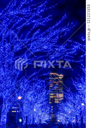 「東京都」青の洞窟SHIBUYA 2024 (代々木公園)・渋谷区 「東京都」青の洞窟SHIBUYA 2024 (代々木公園)・渋谷区 121221858
