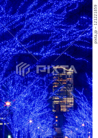 「東京都」青の洞窟SHIBUYA 2024 (代々木公園)・渋谷区 121221859