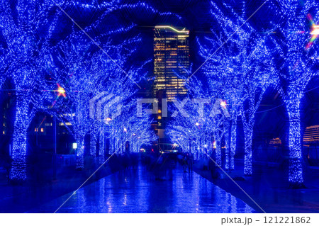 「東京都」青の洞窟SHIBUYA 2024 (代々木公園)・渋谷区 121221862