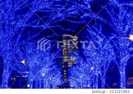 「東京都」青の洞窟SHIBUYA 2024 (代々木公園)・渋谷区 121221863