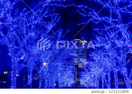 「東京都」青の洞窟SHIBUYA 2024 (代々木公園)・渋谷区 121221864