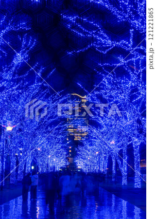 「東京都」青の洞窟SHIBUYA 2024 (代々木公園)・渋谷区 「東京都」青の洞窟SHIBUYA 2024 (代々木公園)・渋谷区 121221865