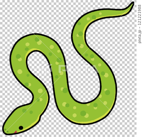 緑色の蛇 緑色の蛇 121221988