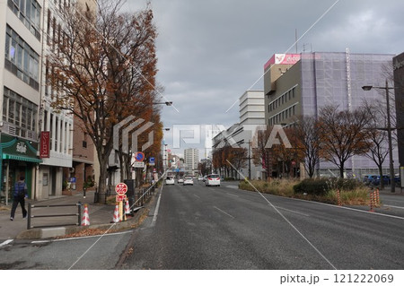 欅落葉　下関の初冬 121222069