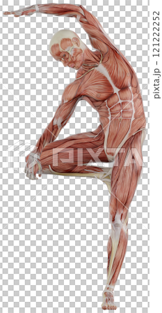 一個男人擺姿勢的肌肉人體,背景透明 一個男人擺姿勢的肌肉人體,背景透明 121222252