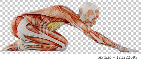 肌肉發達的女性身體擺姿勢，背景透明 121222695