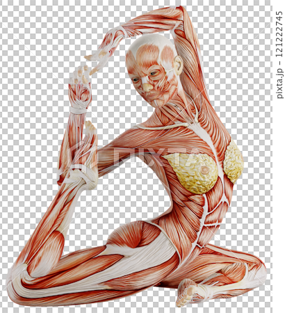肌肉發達的女性身體擺姿勢,背景透明 肌肉發達的女性身體擺姿勢,背景透明 121222745