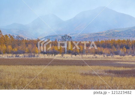 秋の奥日光 霧の中の小田代ヶ原 秋の奥日光 霧の中の小田代ヶ原 121223482