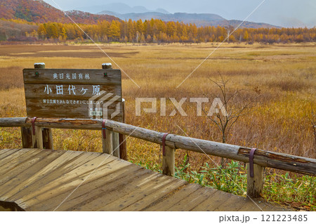 秋の奥日光 小田代ヶ原展望台 121223485