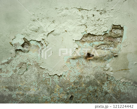 Wall on old building damp make are bacteria or fungus effect to broken brick wall, could be to fix or renovate Wall on old building damp make are bacteria or fungus effect to broken brick wall, could be to fix or renovate 121224442