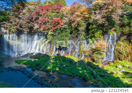 「静岡県」紅葉に囲まれた白糸の滝 121224545