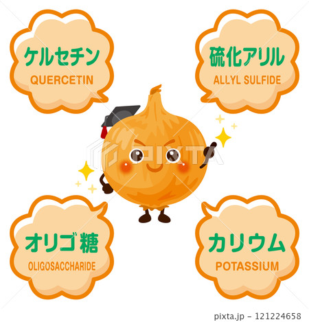 玉ねぎのキャラクターと玉ねぎに含まれる成分イラスト 玉ねぎのキャラクターと玉ねぎに含まれる成分イラスト 121224658