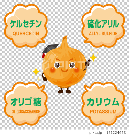 洋蔥的特性和洋蔥所含成分的插圖 121224658