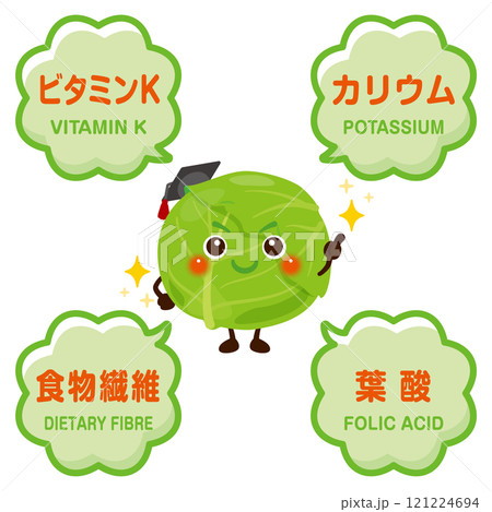 キャベツのキャラクターとキャベツに含まれる成分イラスト 121224694