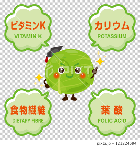 キャベツのキャラクターとキャベツに含まれる成分イラスト 121224694