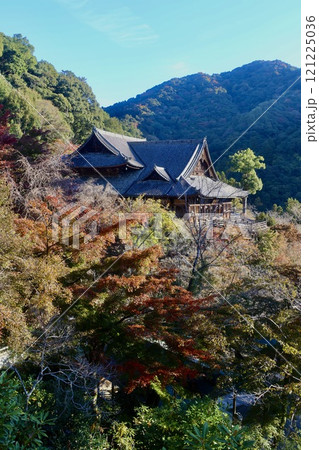 長谷寺・本堂・舞台造(奈良県・桜井市) 長谷寺・本堂・舞台造(奈良県・桜井市) 121225036