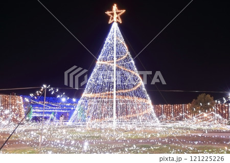 【香川県】冬の国営讃岐まんのう公園 (イルミネーション) 【香川県】冬の国営讃岐まんのう公園 (イルミネーション) 121225226