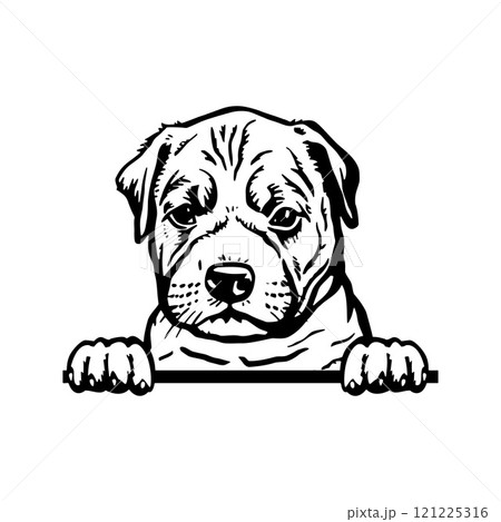 Peeking Puppy American Staffordshire Terrier - Dog Breed, Puppy Breed Vector File, detailed vector 121225316