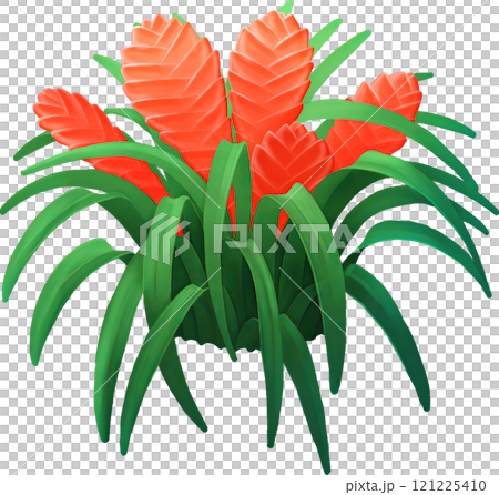 Stylized bromeliad bush isolated on a white background 121225410