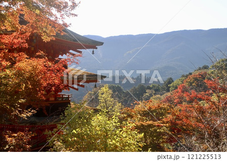 秋の長谷寺・五重塔(奈良県・桜井市) 秋の長谷寺・五重塔(奈良県・桜井市) 121225513