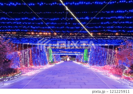 【香川県】冬の国営讃岐まんのう公園 (イルミネーション) 121225911